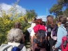 rando; mimosa Auribeau sur Siagne 2015