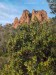 ours_aurelle_rando_2212-4