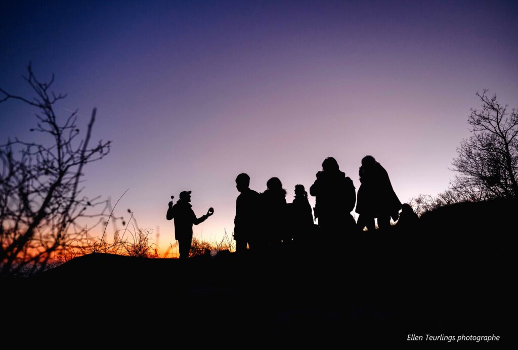 Balades nocturnes faune sauvage ciel étoilé