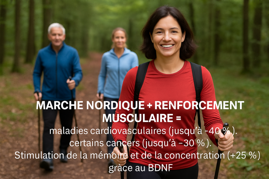 marche nordique et sport santé avec clubrando06, travail musculaire, myokines