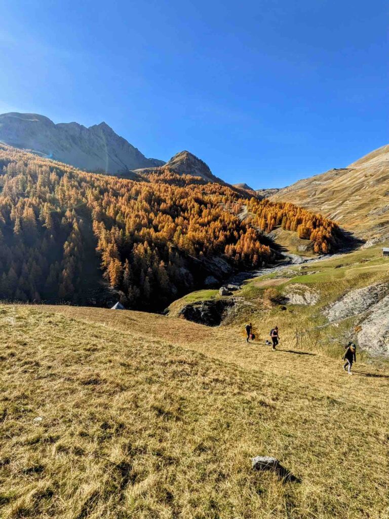Vallon Roya