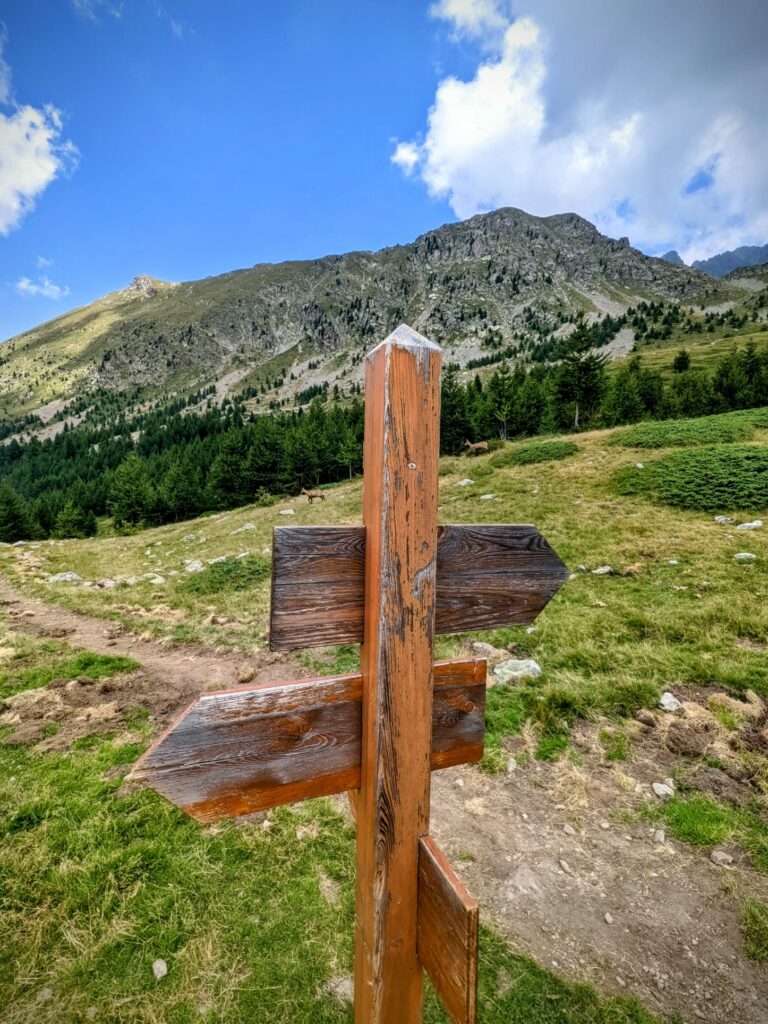 Panneau chamois