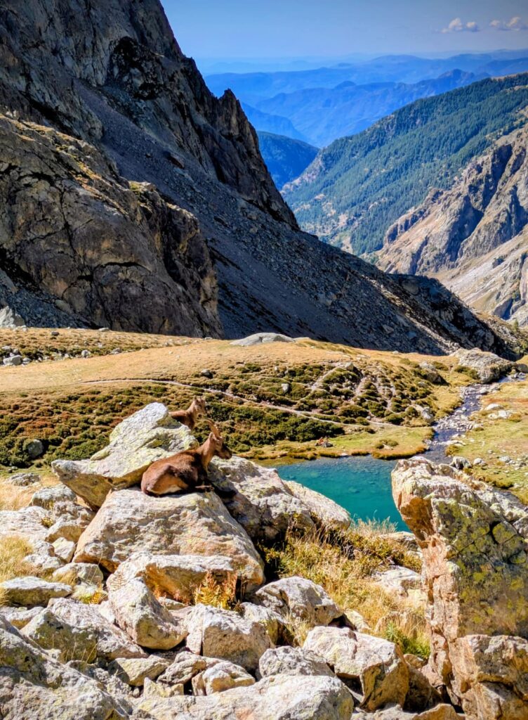 Lac autier et bouquetin