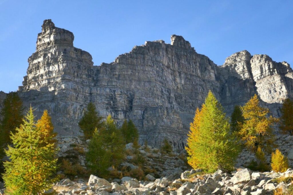 Pointe côte de l'ane